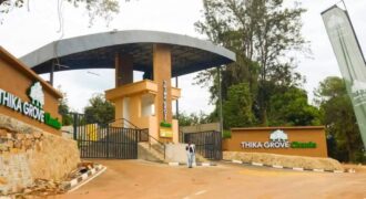 Thika Grove Chania Estate