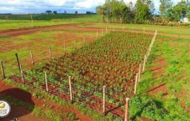 Riverline Ridges Ruiru